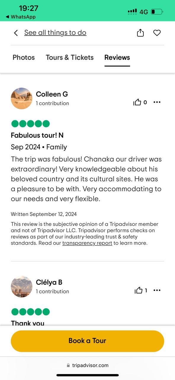 TripAdvisor Review