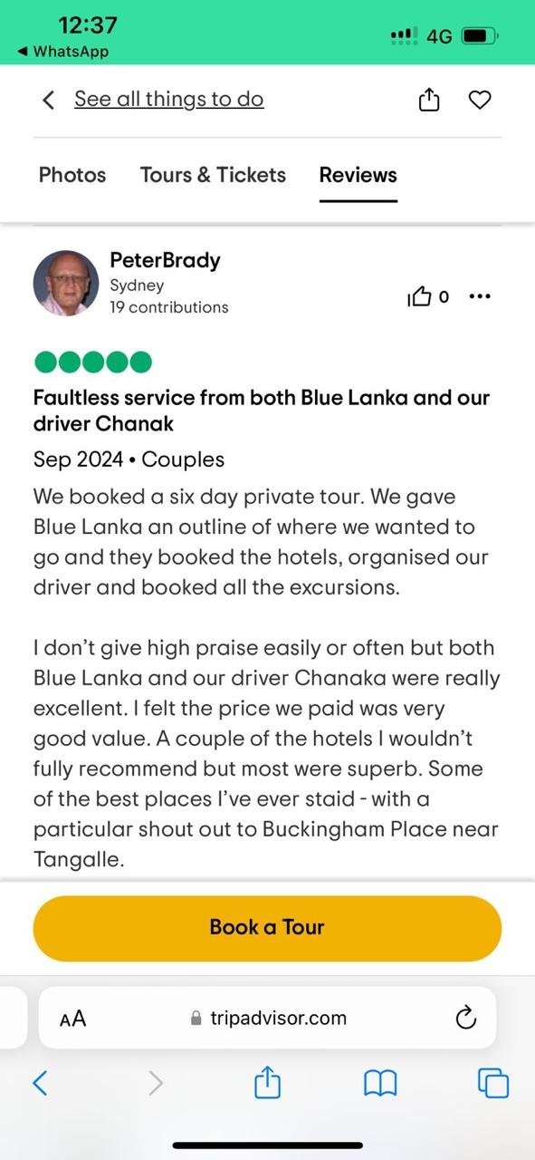 TripAdvisor Review